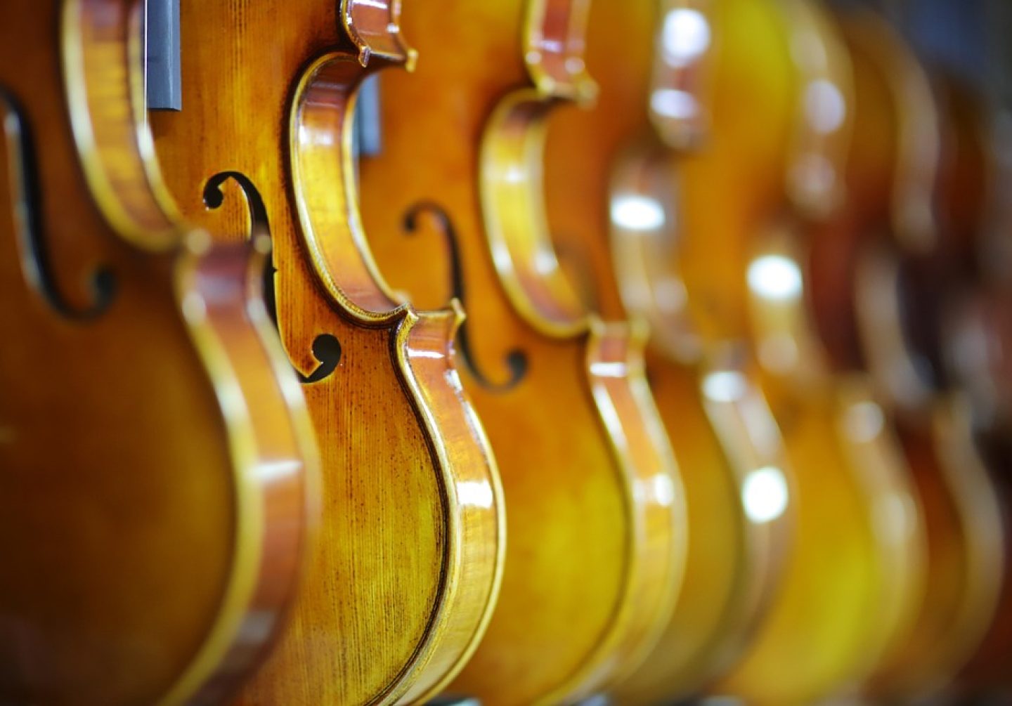 violin-4396455_960_720.jpg violin-4396455_960_720.jpg